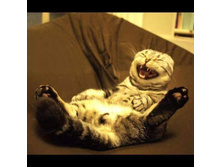 �� ��������!