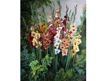 ���������� � ����6.jpg