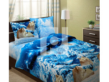 ����� (554).