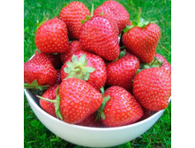 ��������� ������� ������� ����.jpg