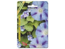 ������ ������� ������. 20 ��. 16 ���.jpg