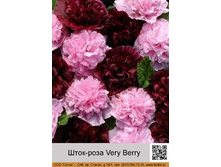 ����-���� Very Berry ���� 138� �� 1 ��
