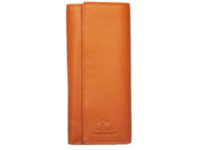 ������ ��� ������ 5536 orange - 840 ���.JPG