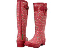 C*edar 2700 ���+%