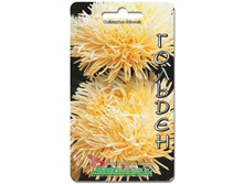 ����� ��������� ����� ������ �������. 70 ��. 9 ���.jpg