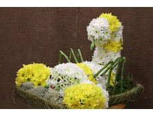 �������-010