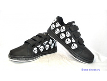 Phoca thumb l 1511 25.jpg