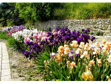 ����� � ����3.jpg