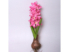 ������� ����������, ���. 3035-2 155� ����� ���� 105�