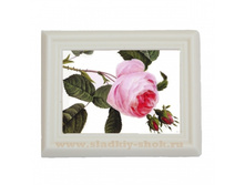 ���������� �������� "�������" 80�� � 100��, ���. ���-026�