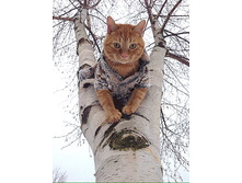 ��� �� ��ң��