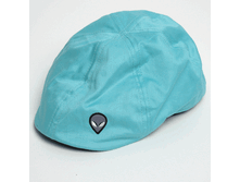 CASIDO ������� �������� ����.GIF