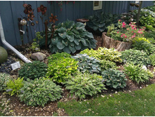 ����� � ����������4.jpg