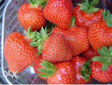 ��������� ������� ������.jpg