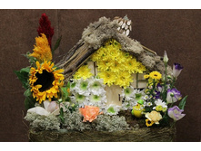 �������-008