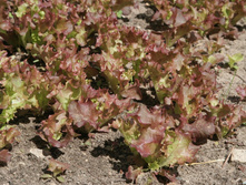 ����� ������� 1�� 23���.jpg