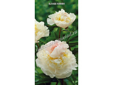 ���� ���� ����.jpg