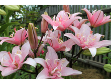 ����� ����� ���. ����.jpg