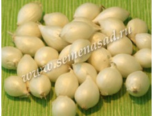 ���-����� ������� 0,5 ��.jpg