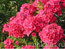 ����� ���� ���� ���. ����2.jpg