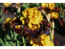 Bold Encounter-6,14.jpg