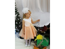 ������ ����������� 29. 1331 ���..jpg