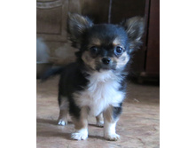 ������ 010.JPG