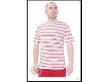 �������� ������, v-�����.png