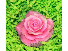 ���� - 70 ���.