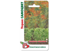 ����� ��������. 0,5 �. 10 ���.jpg