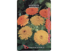 ��������� �������� ������ ������ ����. 100 ��. 20 ���.jpg