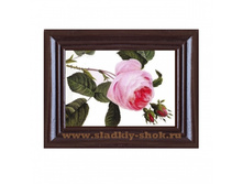 ���������� �������� "�������" 80�� � 100��, ���. ���-026�