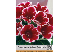 ��������� Kaiser Friedrich  55� �� 1 �� ��� 10 ��