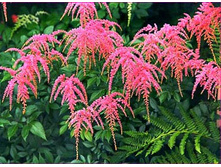 �������� �������� ���. ����.jpg