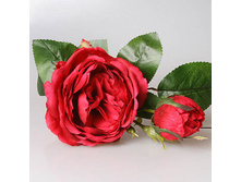 ���� ����������� �����, 3-570 190�.jpg