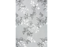 ������� �����