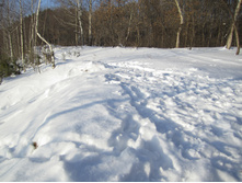 IMG 4507.JPG
