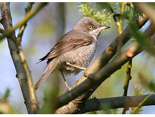 ���������� ������.jpg