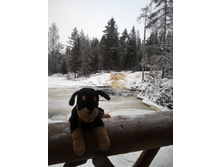 ������������ �������