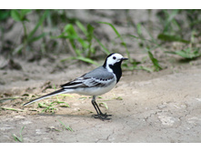 ����� ����������.jpg