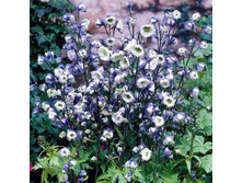 ���������� �� ������ 226,8�.jpg