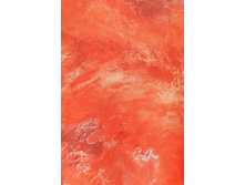 �120120-�����. ���������. 120�120. So-ph-ie Ro-ma-ge. ������. 339 ���.jpeg