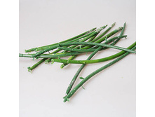 ���������-������ �����, 43663-4 60�.jpg