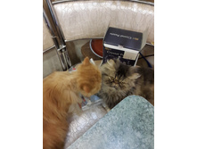 20151128 234323[1].jpg