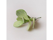 ��������� 42303-2 111�.jpg