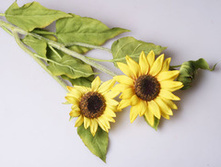 ����� ������������� 20077 460�.jpg