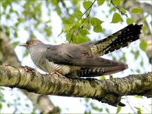 ������������ �������.jpg