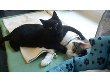 ��� �������.jpg