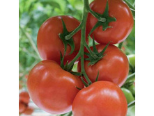 ����� ���� ��������� ������. ����2.jpg