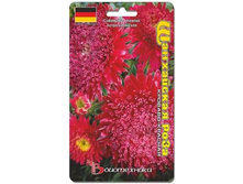 ����� ��������� ����� ���������� ���� �������-�������. 40 ��. 20 ���.jpg